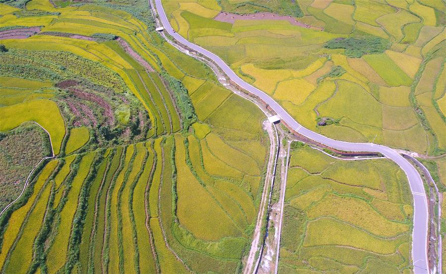 #���������4���S������