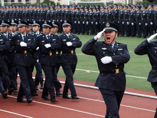 �ǹ���Ƹ������