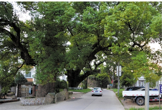  ��������@�ӵĹŘ�����Ҫ�߰˂��˲��ܭh(hu��n)����