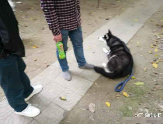 ��ʿ�汻��c�G�� �܂�ί����·�����ۡ��D��