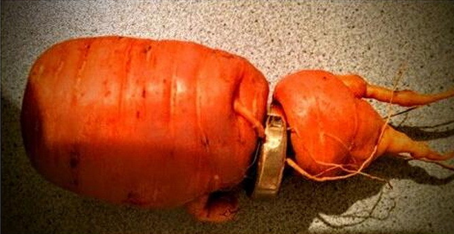 �����zʧ����L(zh��ng)�}����