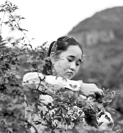 “花椒女孩”的勵(lì)志暑假走紅網(wǎng)絡(luò)