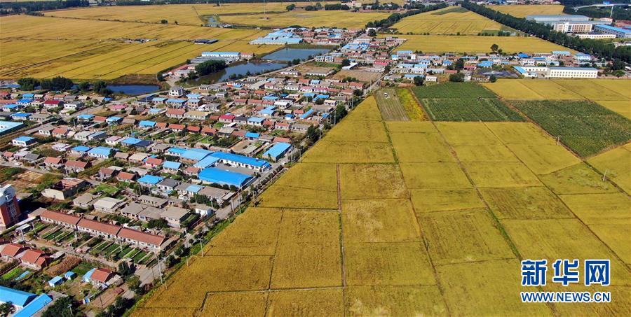 �����(hu��)����1����S�ա��������h������æ