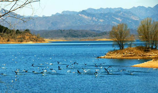 ���ƶ����ι��� �ӵؚ�ĸߴ���