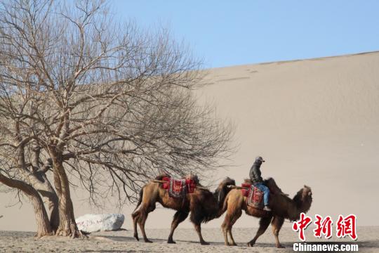 �ػ��Qɳɽ����Ȫ���^(q��)ָ�y�R�eُƱ��3���(n��i)�ɶ�����[