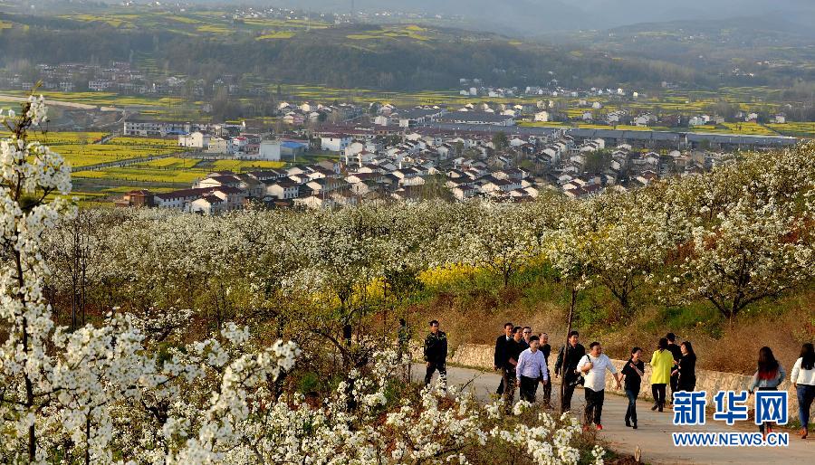 ���������3�������h���f���滨ӭ�e��