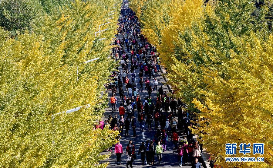 #�����(hu��)����6�����(y��ng)�r(n��ng)���y�ӽ��S������