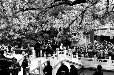 �c���M����һ�