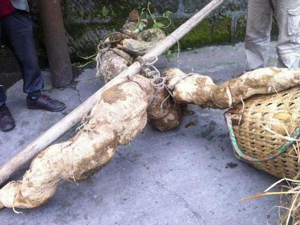 �����I����200�f�I�ߡ����ܵĸ����