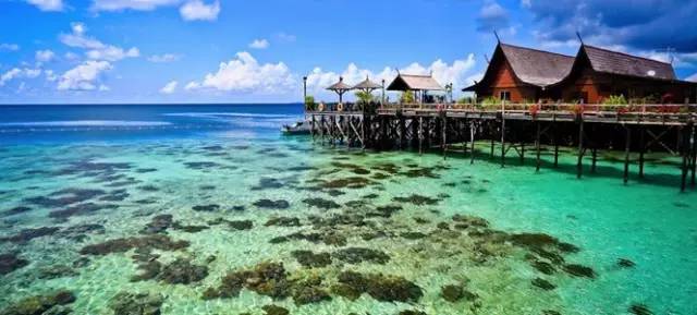 ���θ����� 2016��ֵ���Pע���º��C