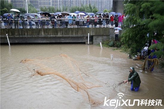 ��h����_�����~ �����Ԏ��O�W(w��ng)���ֲ��~