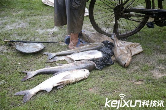 ��h����_�����~ �����Ԏ��O�W(w��ng)���ֲ��~