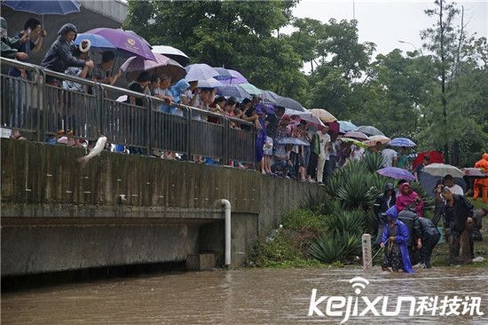 ��h����_�����~ �����Ԏ��O�W(w��ng)���ֲ��~