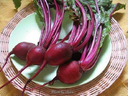 �X�׽�������������@15�N��Ȼʳ������a(b��)�X��