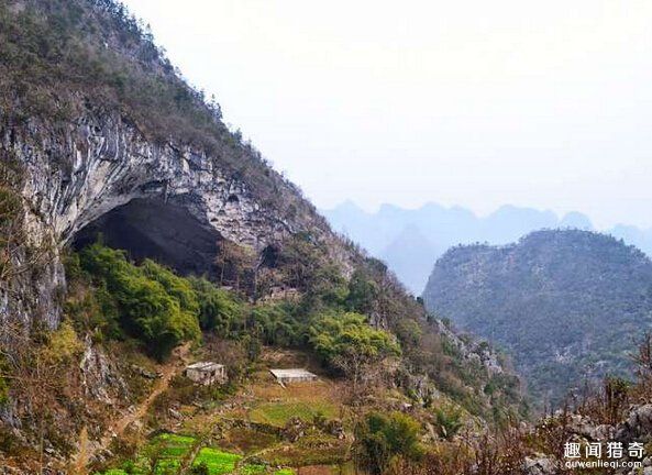 �Ї��@�F(xi��n)�������һ��Ѩ�Ӳ���������ֻʣ20���˼���