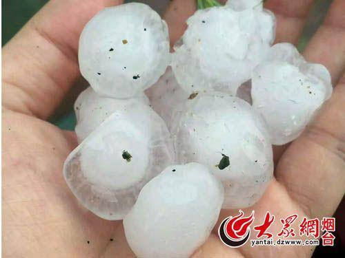 ɽ�|���_(t��i)�Ѕ^(q��)ͻ������ ���(g��)�^�������ӵ�