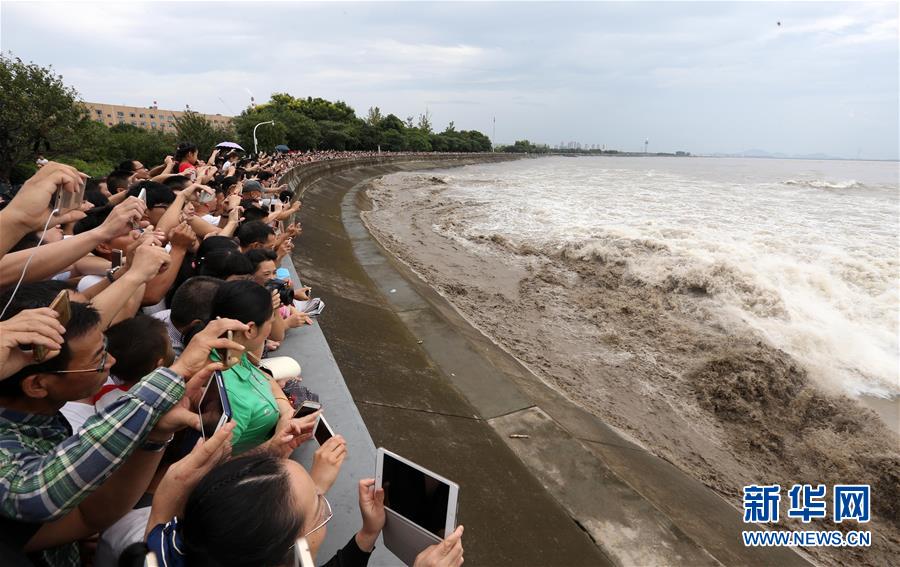 #�����(hu��)������С�L(zh��ng)�� ��(zh��ng)���X����