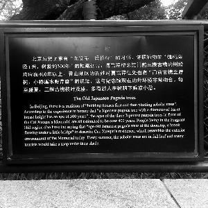 ��ѩ�۹ʾӱ�ָ���g�e�`��ƴ����cao��ƴ�ɡ�cai��