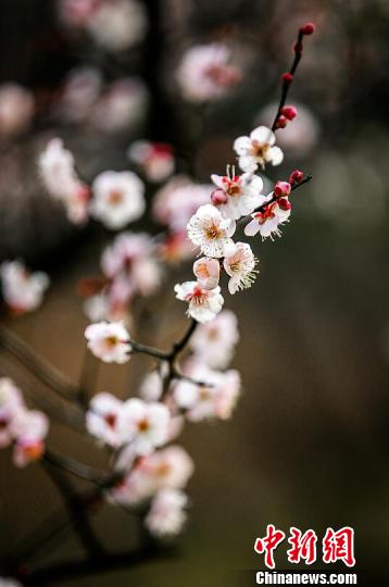 ������²��_��÷������������ͺ�����������¶�ҷ�����÷�� �z