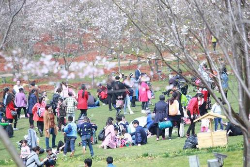 ���f(w��n)�˴���̤���P�˜� ǧ�����԰��n���^(q��)}��