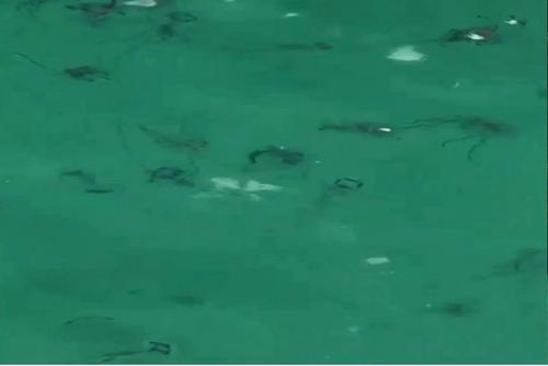 �Ї�(gu��)�S�W(w��ng)��̩��(gu��)��������?q��ng)?b��o)����