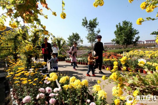 �㽭�ھ����� ����܎�������t �z