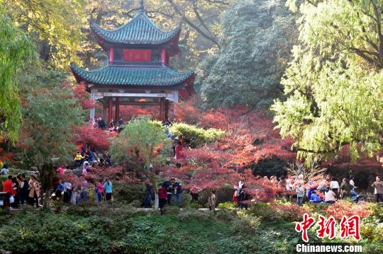 �Lɳ��´ɽ���~ӭ�^�p���ο�����