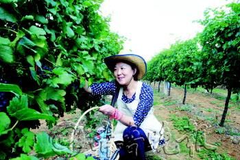 ��ժ�@��(n��i)�x�߸��ܵ��˲�ժ�Ę�(l��)Ȥ��