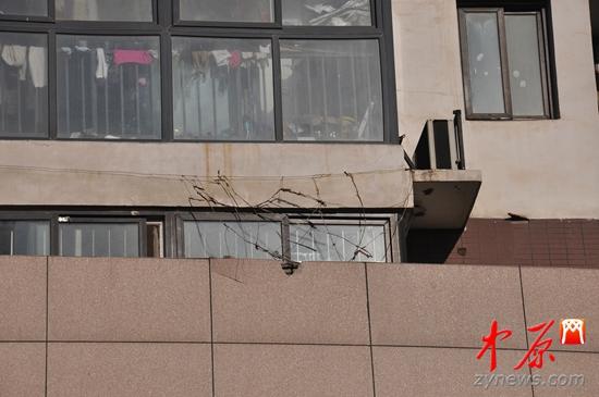 ����һ���ӏ�18���������� ���޷Q������ԩ����