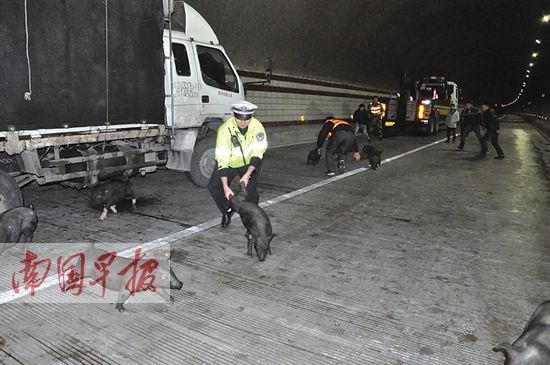 �V��һ�\�i܇�ȷ� 20���^�i��������̎�y�Z(�D)