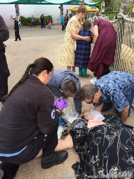 �Ї�(gu��)�ο�������(gu��)�ȵ����ο� ���@����Ϊ�(d��)������