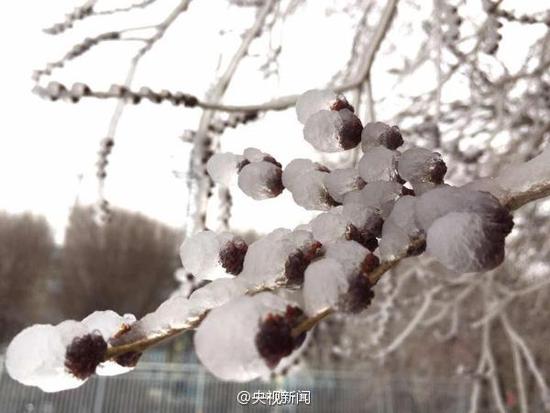 烏魯木齊城區(qū)降雪