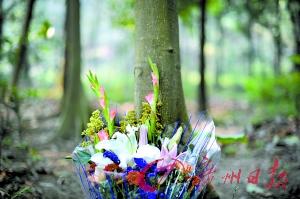 �V���������T����Ĺ���ǷǷ����Y ֻ��(hu��)Ѫ���o(w��)�w