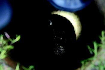 ��(j��)������ַ��J(r��n)��ˮ���_偡�ϵ����ǰ�ף���Ȼ�F(xi��n)��