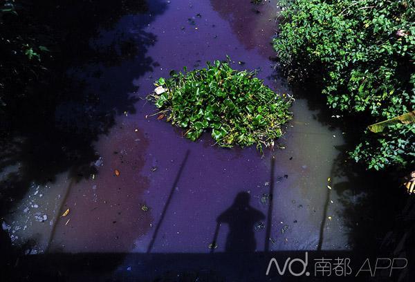 �|ݸ��ˎ���ۣ�������10�|������Ⱦ��I(y��)�˳�