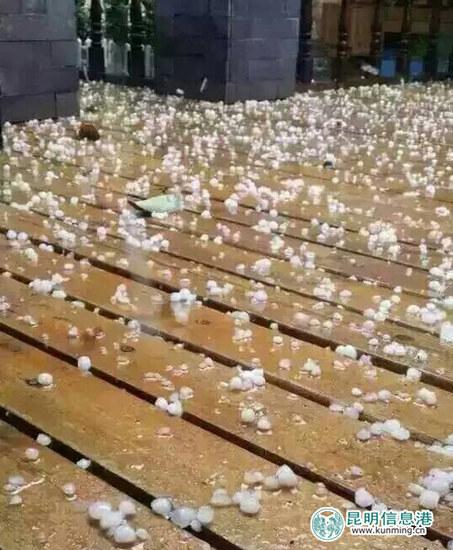 ���������¹ųǱ��� ΢���DƬ