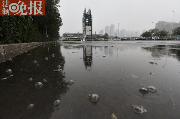 #�������(b��o)��Ӎ#(ӛ�������� �zӰ����)��������ˮ����ĭ�Ć��}��֮ǰý�w��(b��o)���Q���Ќ��ұ�ʾ����������?y��n)��L�r(sh��)�g��������·��ضȺܸ���������֮���������Ͼ͕��К��w����������͕��К�������������ĭ���䌍(sh��)�����B��Ƭ���؄e��(x��)�Ě�������һͣ�͛]������Ȼ���������������^���У�ӛ�����p܉�K�c(di��n)վ����һ�K��δ����܇�뉺�^�ķeˮ�п�����ÿ��(d��ng)��ˮ�Ώ��Ϸ���ľ���۵���eˮ�r(sh��)���͕������S���̖�Ě�����ֱ����2-3�������� �����Һܲ�����©���ƺ�ˮ�|(zh��)����һ����ճ�����ͬ�r(sh��)ӛ�����Ĕz��Ƭ�r(sh��)��һЩˮ��մ����Ƥ�ϣ����зN�����ĸ��X��