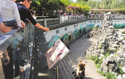 2�գ��ɶ���(d��ng)��@���οͲ��ֹ��(bi��o)�Z���������(d��ng)��ιʳ��