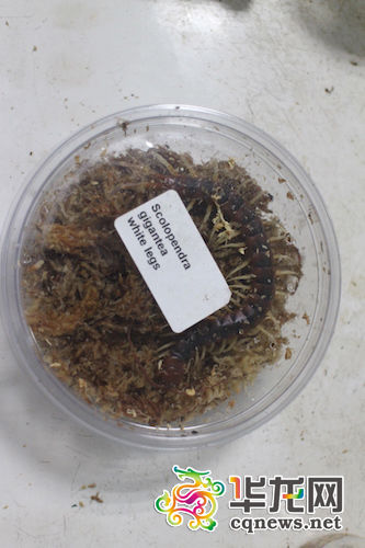 ���ث@�������