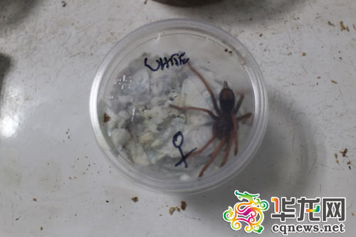 ���ث@��֩����