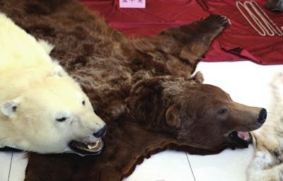 �����ƫ@���؜�u������ �永�rֵ2439�fԪ(�D)