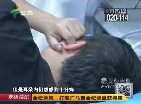 �@�������Ӷ���(n��i)�L�M��ɫ���x��˺ҧ����ʹ��������