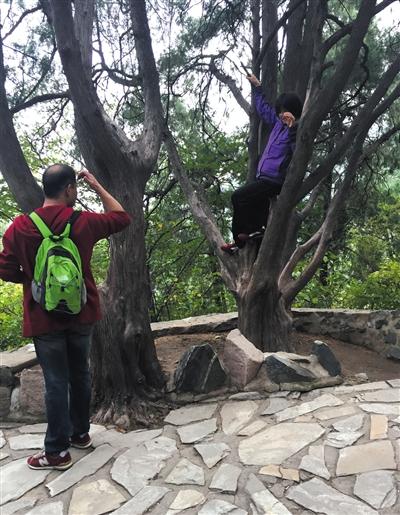 ����7�f�˸���ɽ�p�t�~ ·���y�Ёy���(�D)