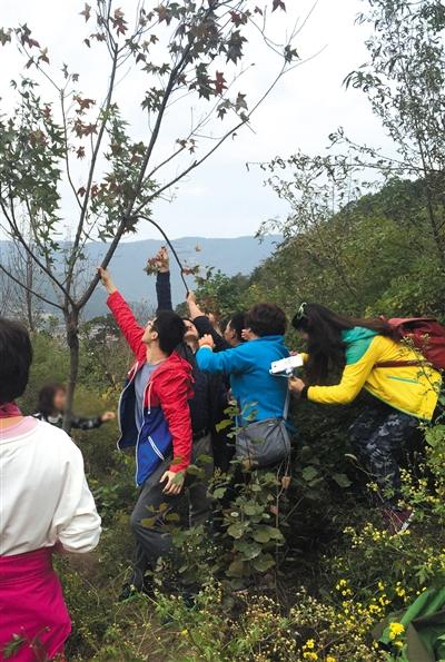 ����7�f�˸���ɽ�p�t�~ ·���y�Ёy���(�D)