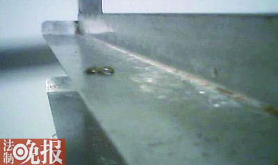 ���c(di��n)܇�gʳ��؛���ϵ�����ʺ