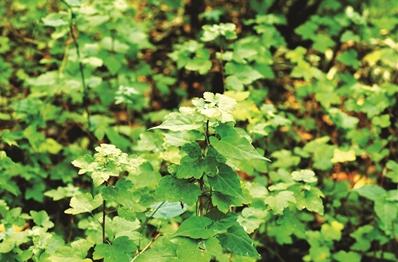 ��ˑ�� ���h(yu��n) �z