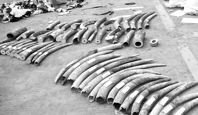 �B�T��̴��ľ�в�@57������ �rֵ��800�fԪ