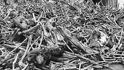 �B�T��̴��ľ�в�@57������ �rֵ��800�fԪ