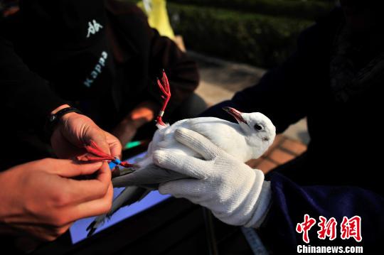 ������ֻ���t�I(l��ng)�������C���O(ji��n)�y�w��·������Դ�߲�