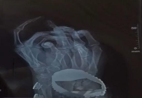 С����ָ�������С��ٲݿݡ� ����ǰŮ�ш�(b��o)��(f��)